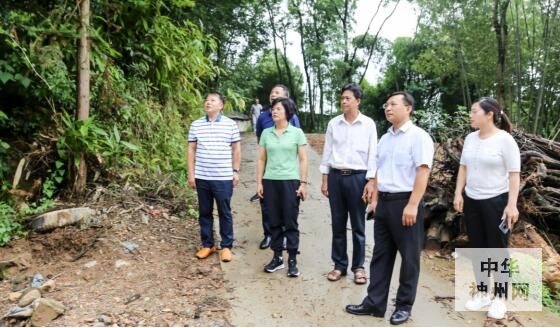 中共全州县委副书记县长候选人朱鹃屏到龙水镇调研