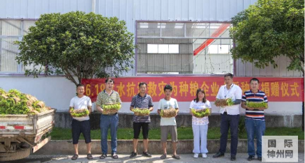 桂林万家大业农业开发有限公司为受灾种粮户捐赠水稻秧苗