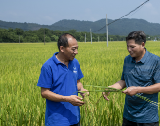 桂林中禾现代农业开发公司：多种良种好粮  助力乡村振兴
