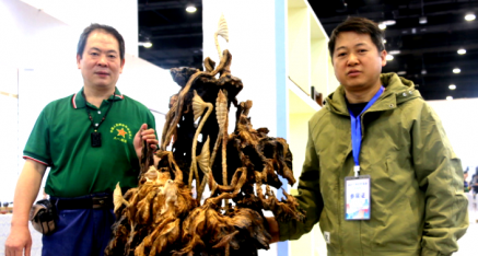 广西八一退役军人文工团副团长唐国宣采访高级大师莫新宁