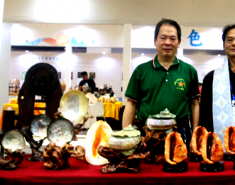 广西八一退役军人文工团副团长采访工艺美术大师庞振新